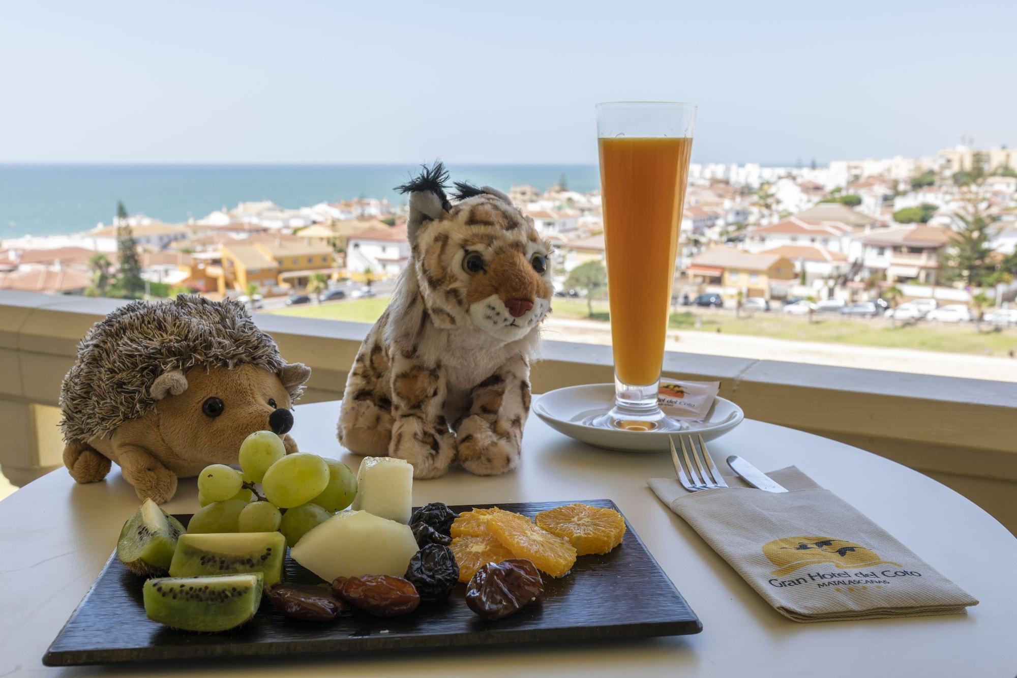 Gran Hotel Del Coto Matalascañas Екстериор снимка